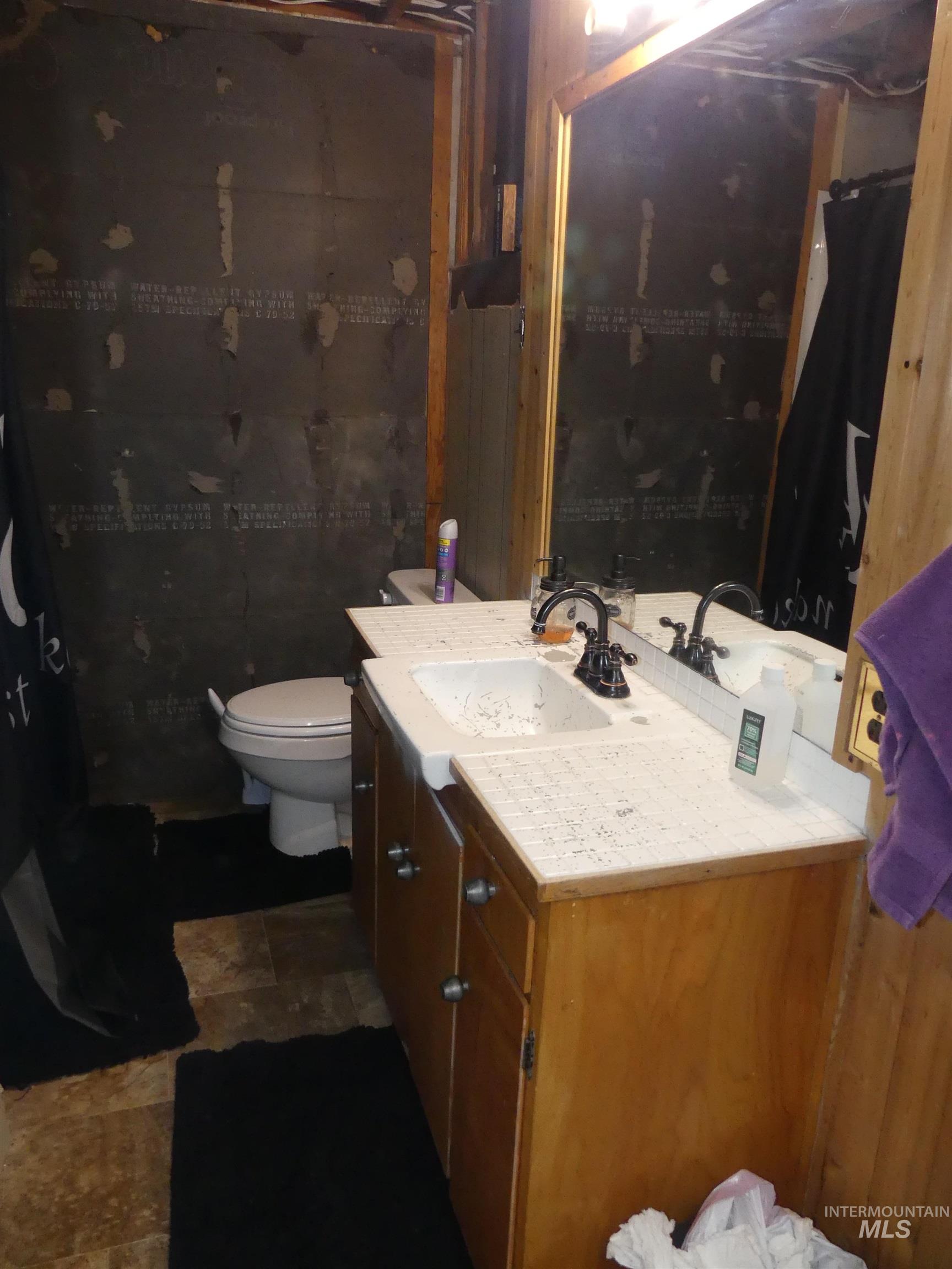 Bathroom with vanity and toilet