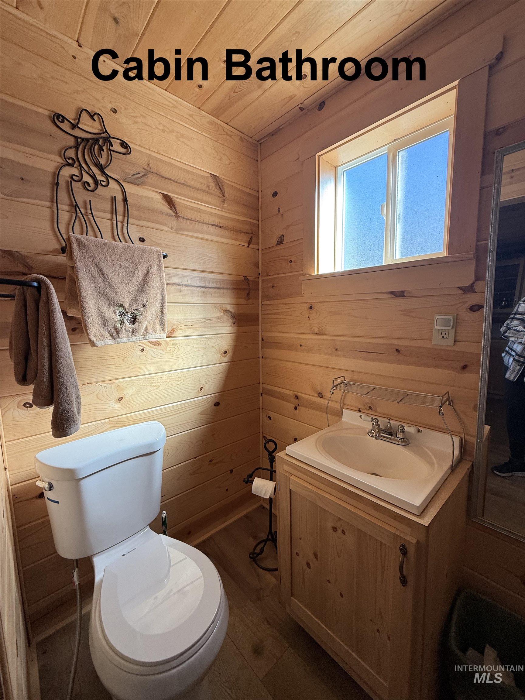 Bathroom featuring wood walls, wood finished floors, vanity, and wooden ceiling