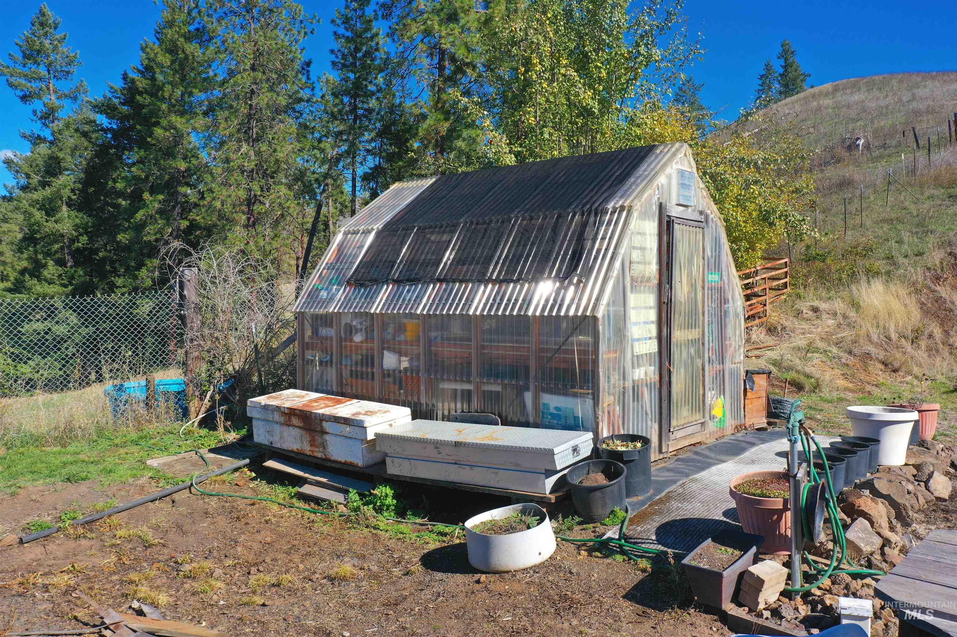 View of greenhouse