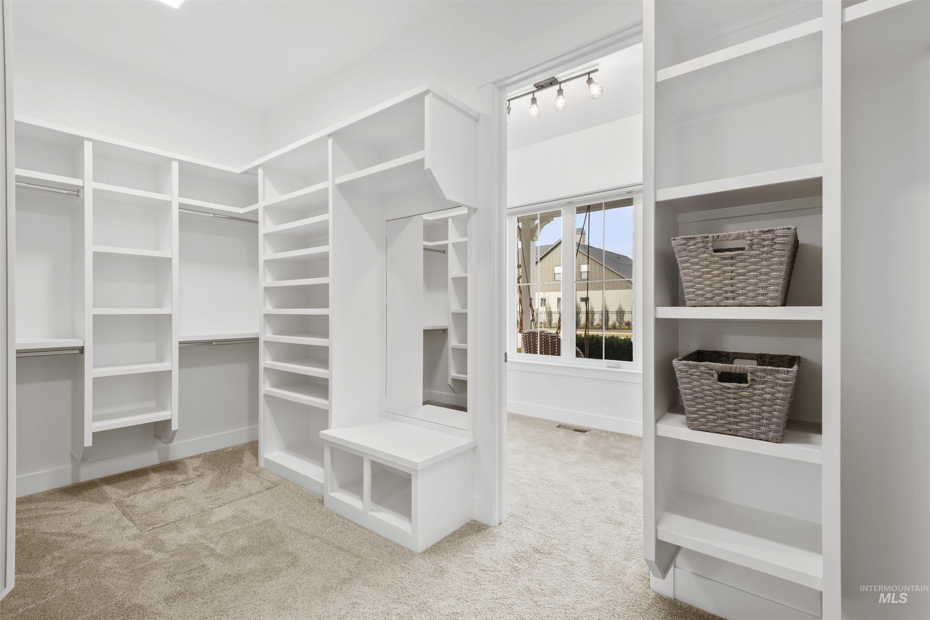 Spacious closet featuring light colored carpet