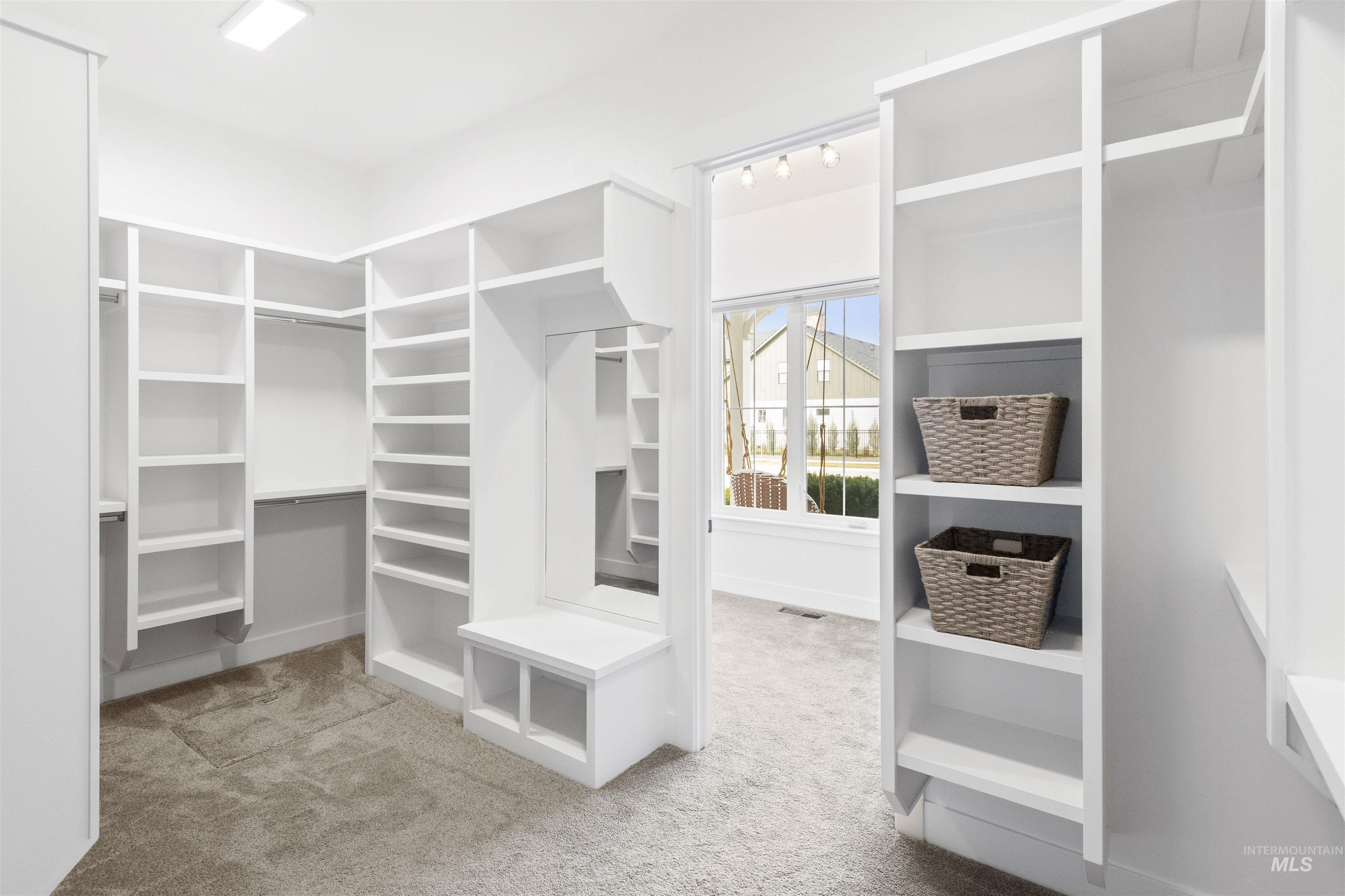 Spacious closet featuring light carpet