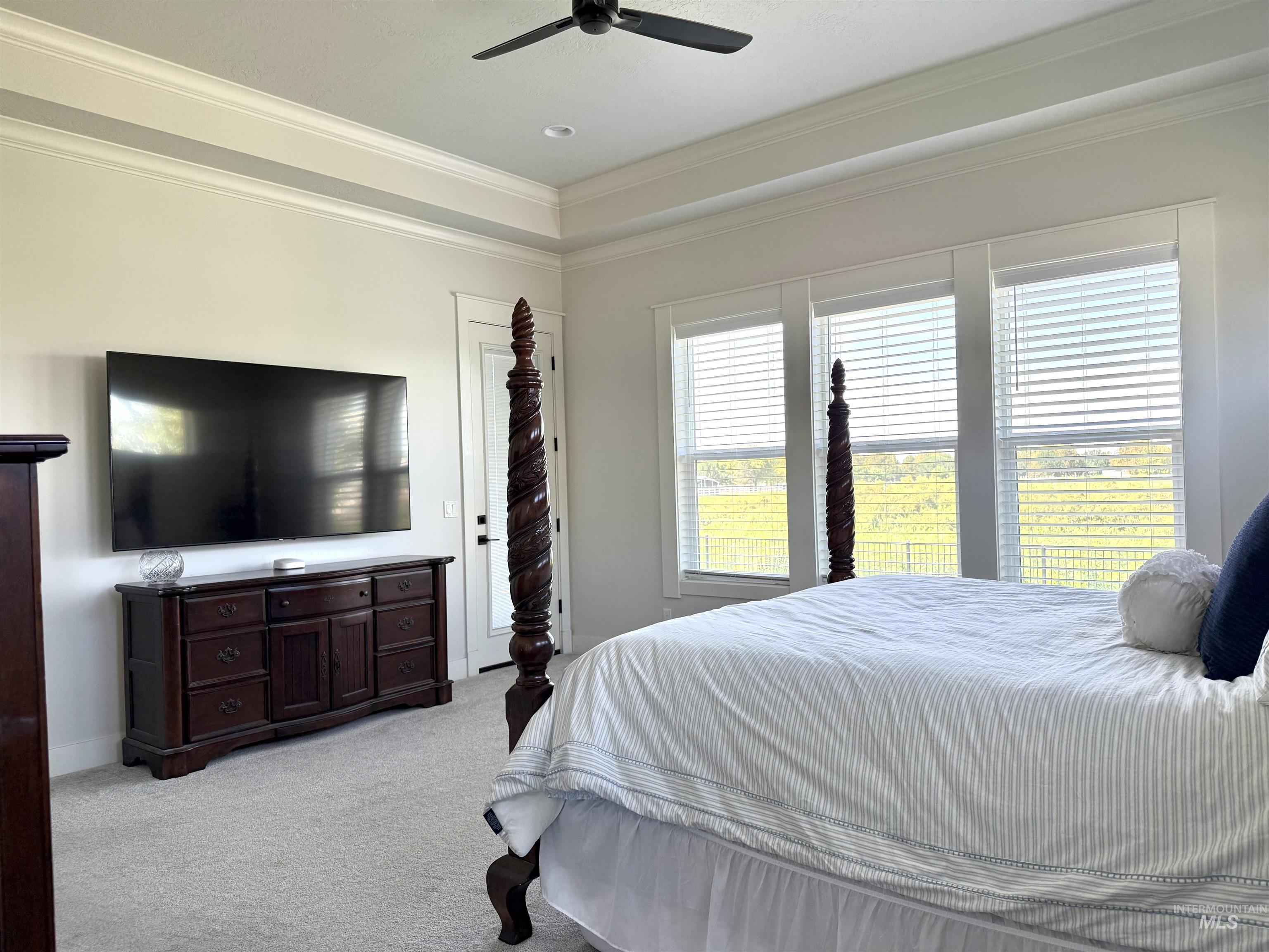 Bedroom featuring crown molding, light carpet, a ceiling fan, and a raised ceiling