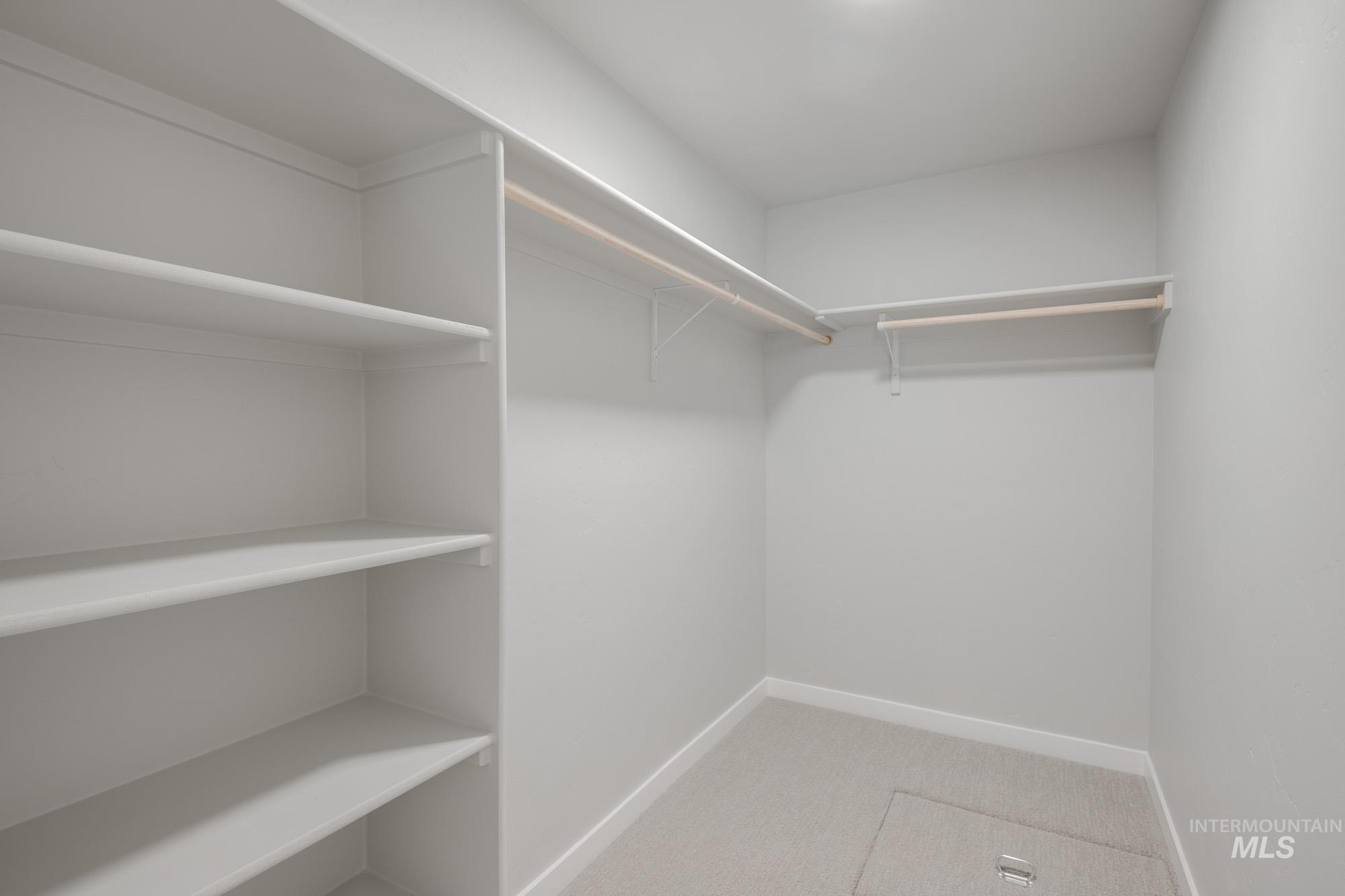 Spacious closet featuring light carpet