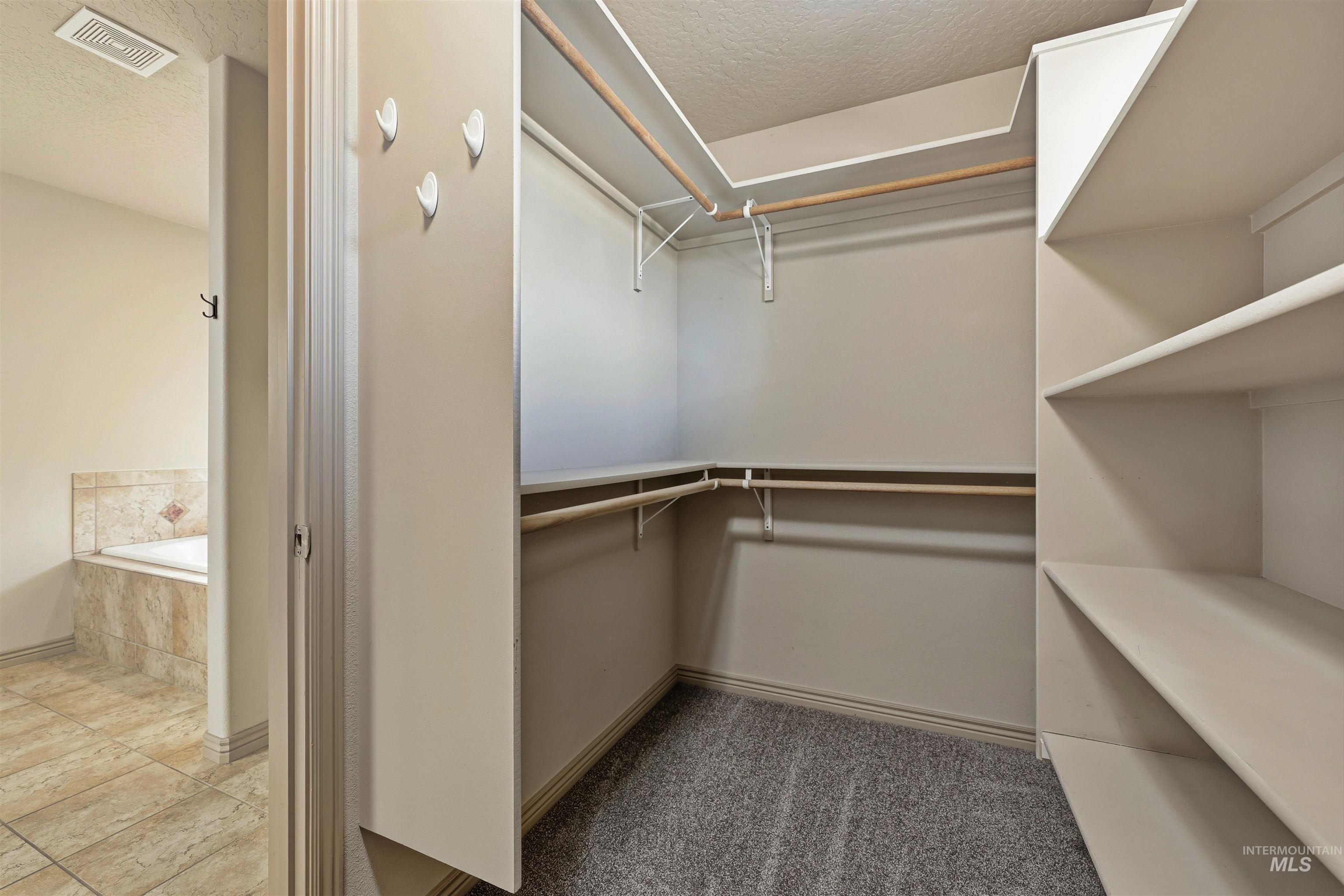 Spacious closet featuring light colored carpet