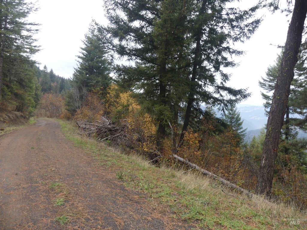 Photo of 1684 Tranquil Lane (#1), Orofino, ID 83544 (MLS # 98967943)