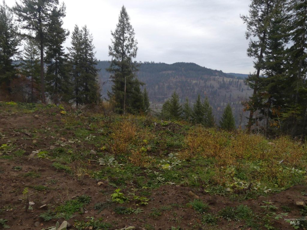 Photo of 1684 Tranquil Lane (#1), Orofino, ID 83544 (MLS # 98967943)