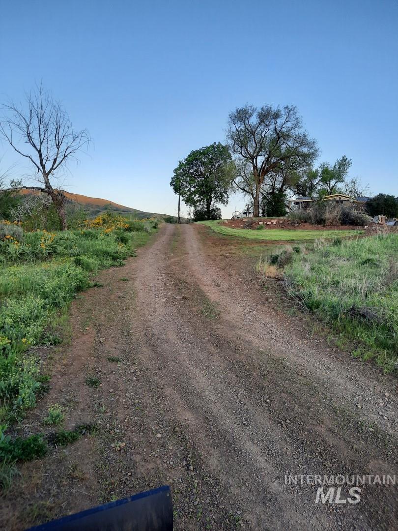 View of dirt / gravel road featuring a rural view