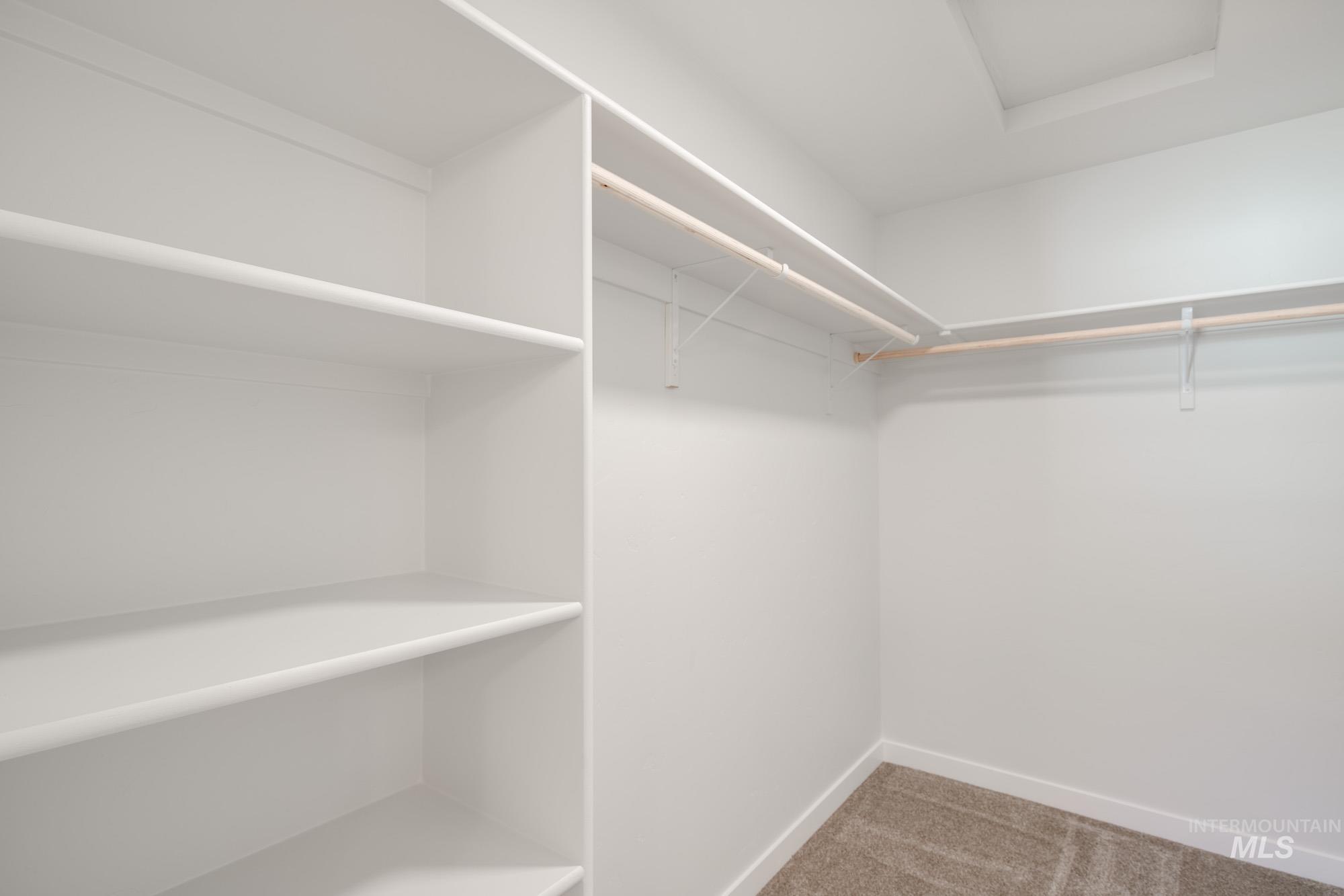 Spacious closet featuring carpet floors and attic access