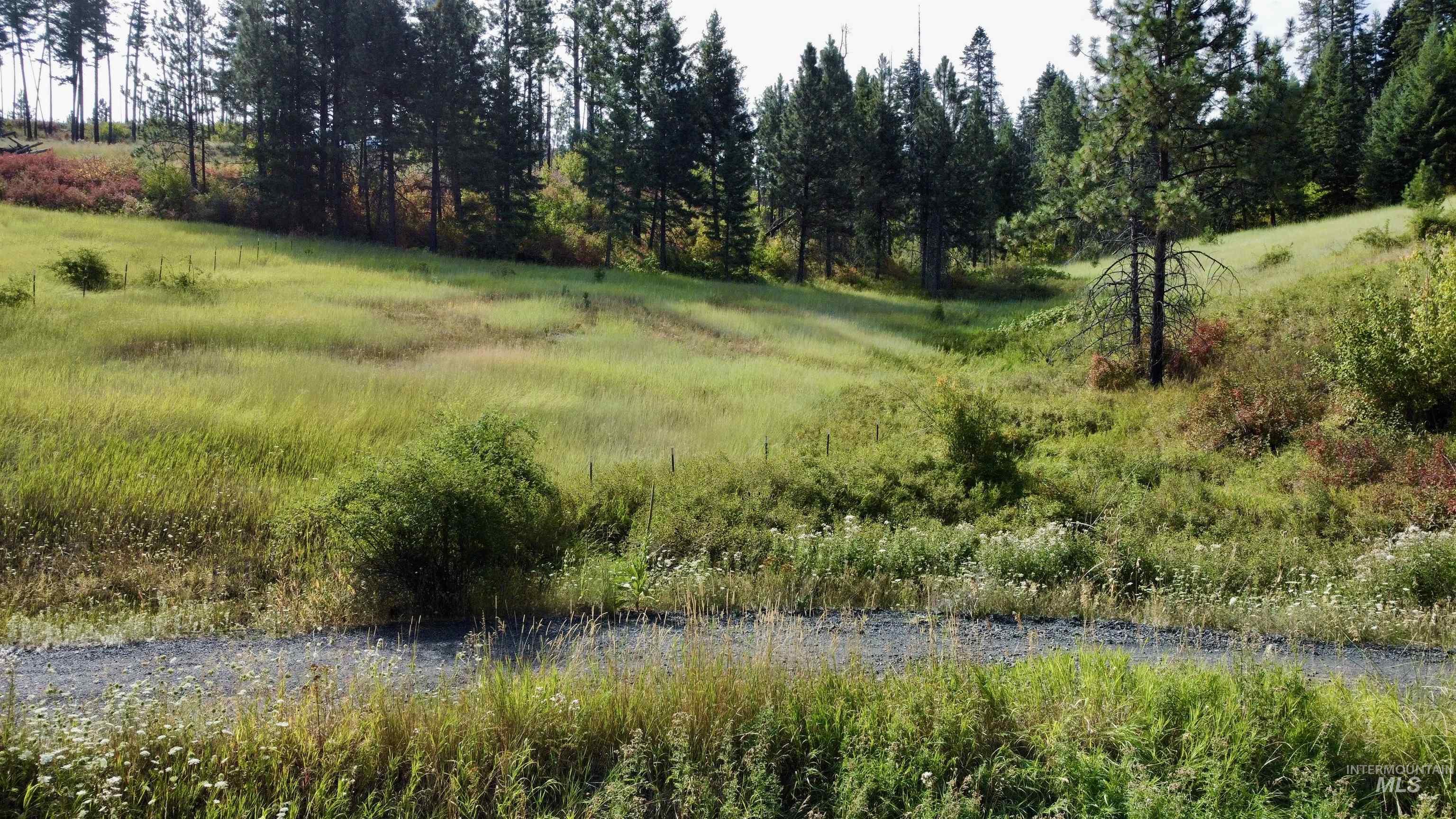 TBD Friendship Ln, Kamiah, Idaho image 3