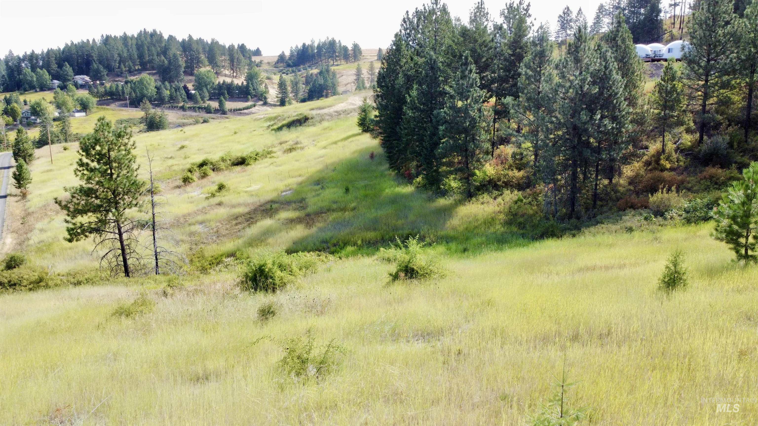 TBD Friendship Ln, Kamiah, Idaho image 8