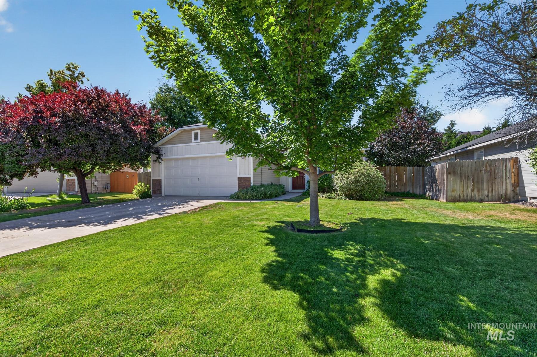Manicured front lawn with mature trees and concrete driveway