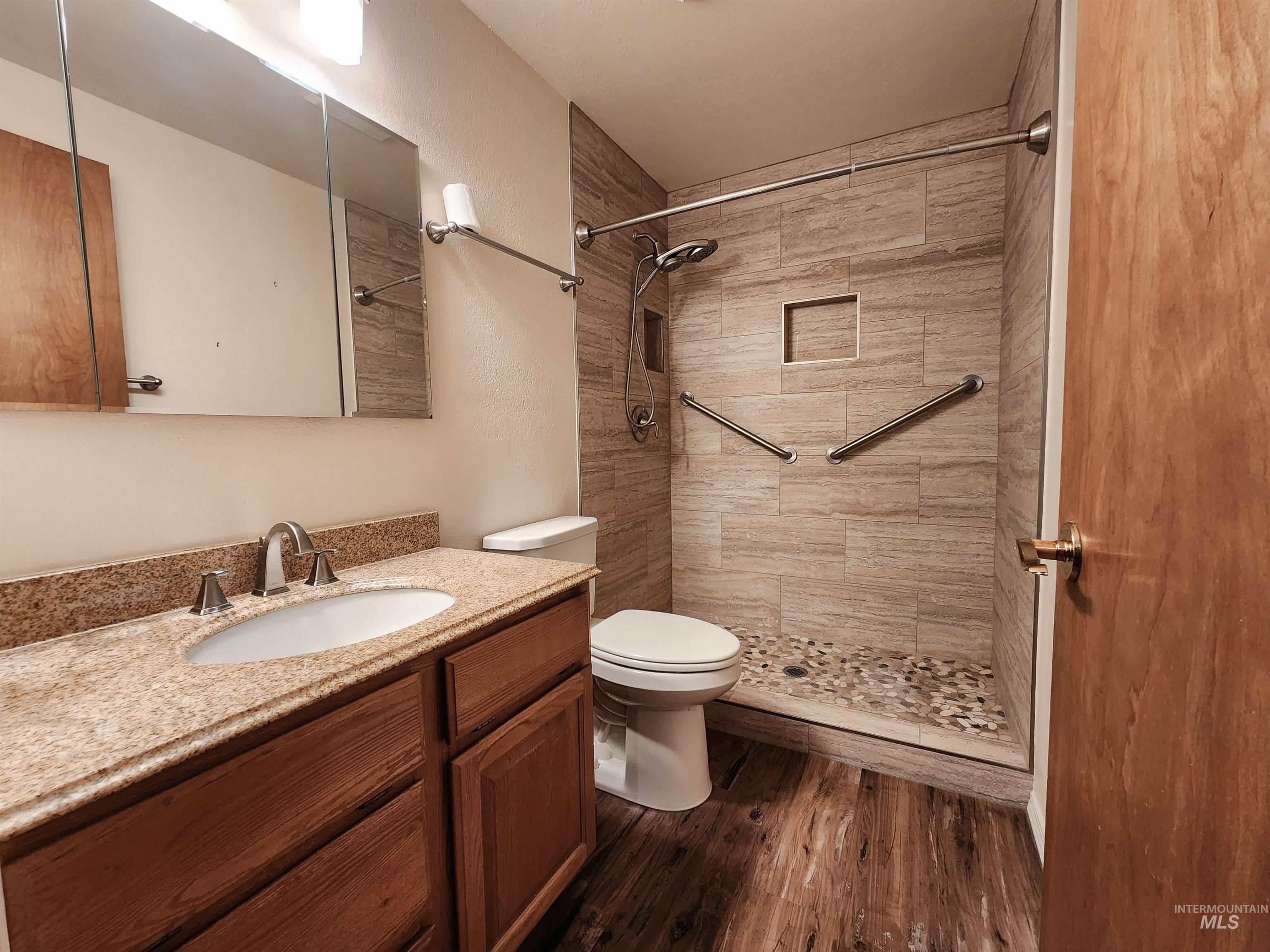 Bathroom with vanity, a stall shower, and dark wood-style floors