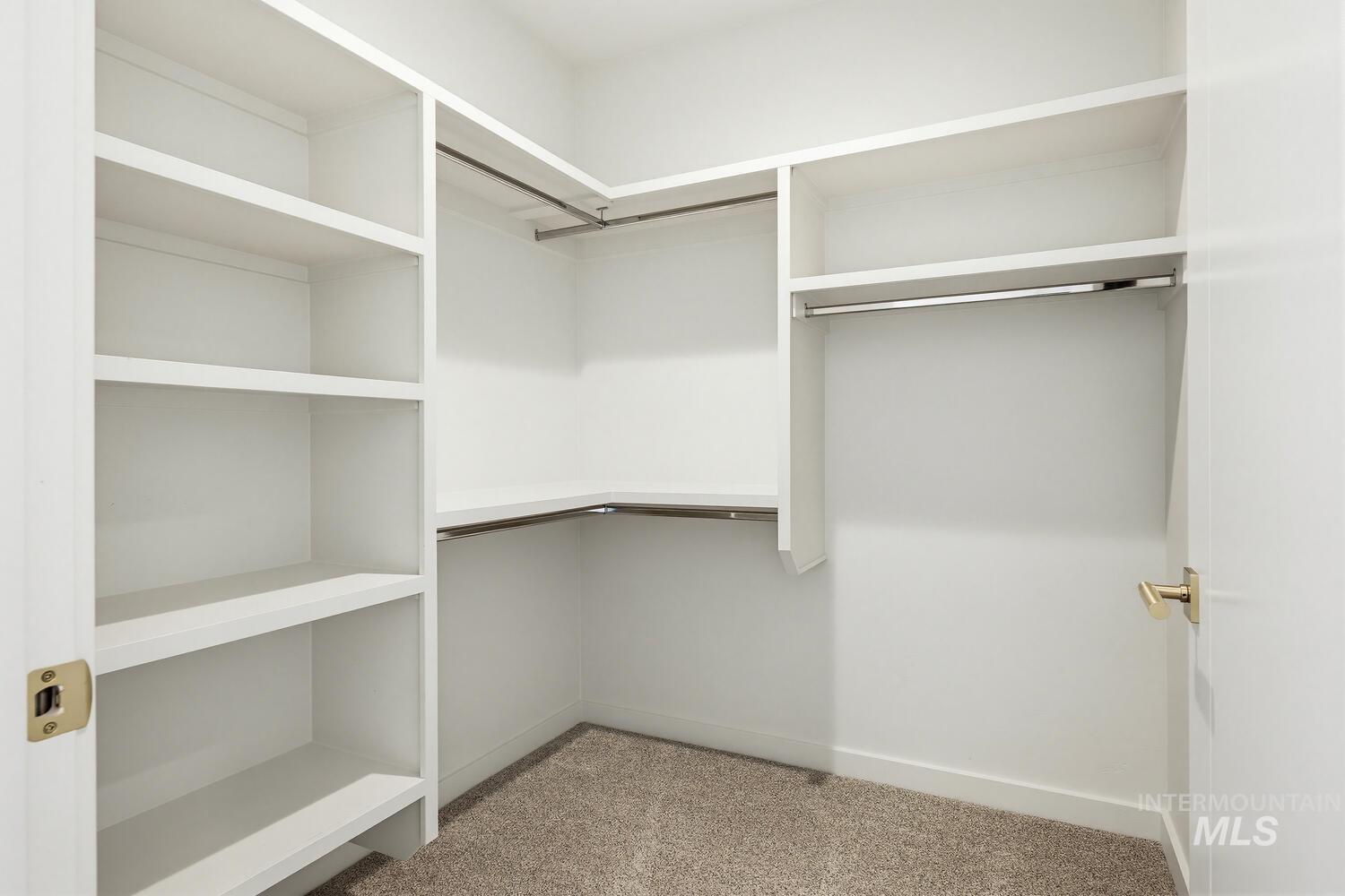 Walk in closet featuring light colored carpet