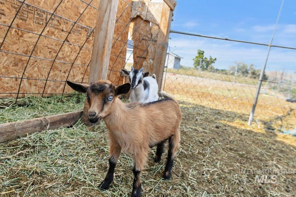 Photo of 8188 N Pennsylvania Ave, Fruitland, ID 83619 (MLS # 98961240)