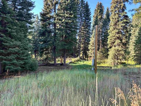 Photo of 15 Andy Ln, Donnelly, ID 83615 (MLS # 98962323)