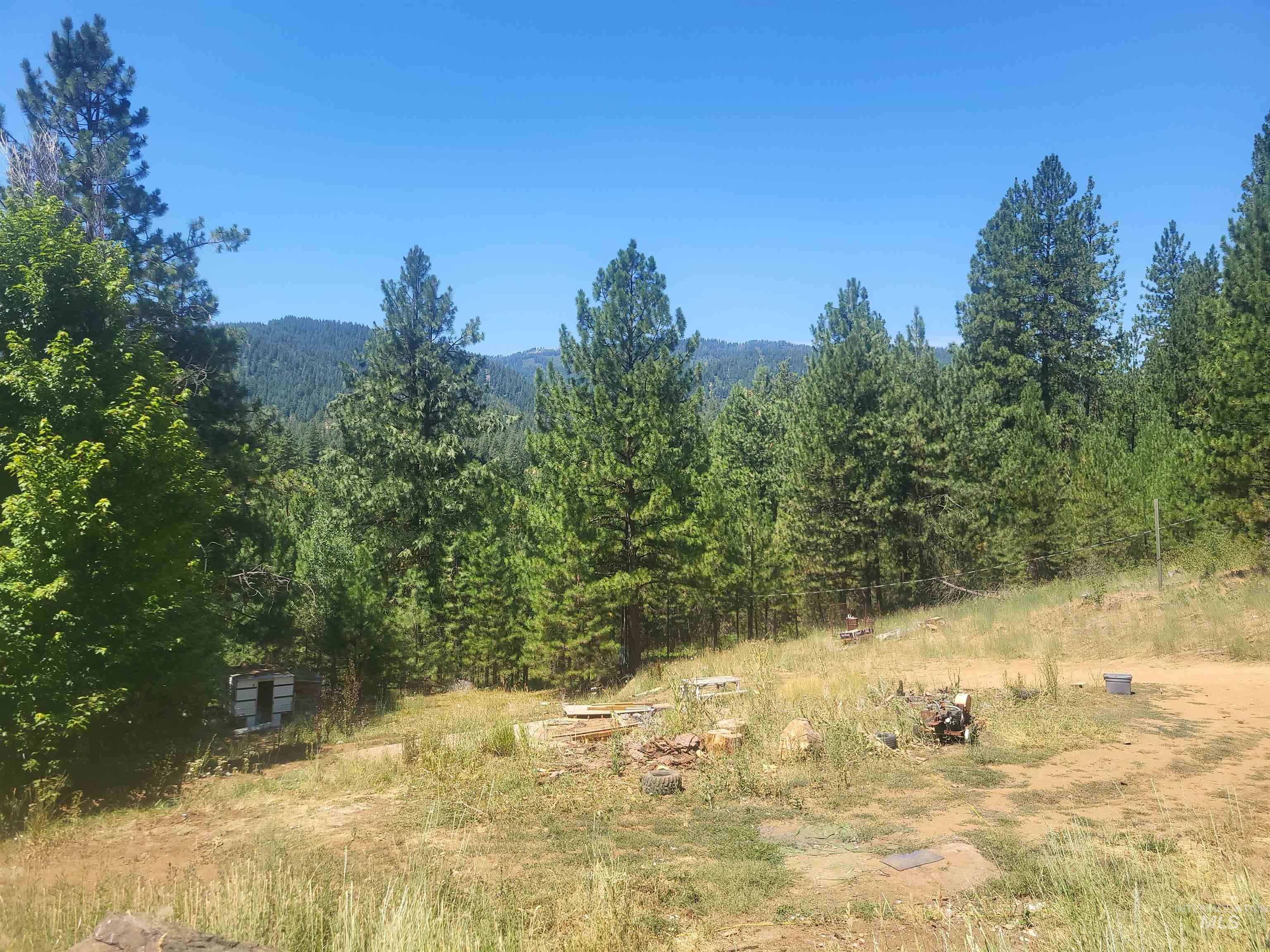 Mountain view with a heavily wooded area