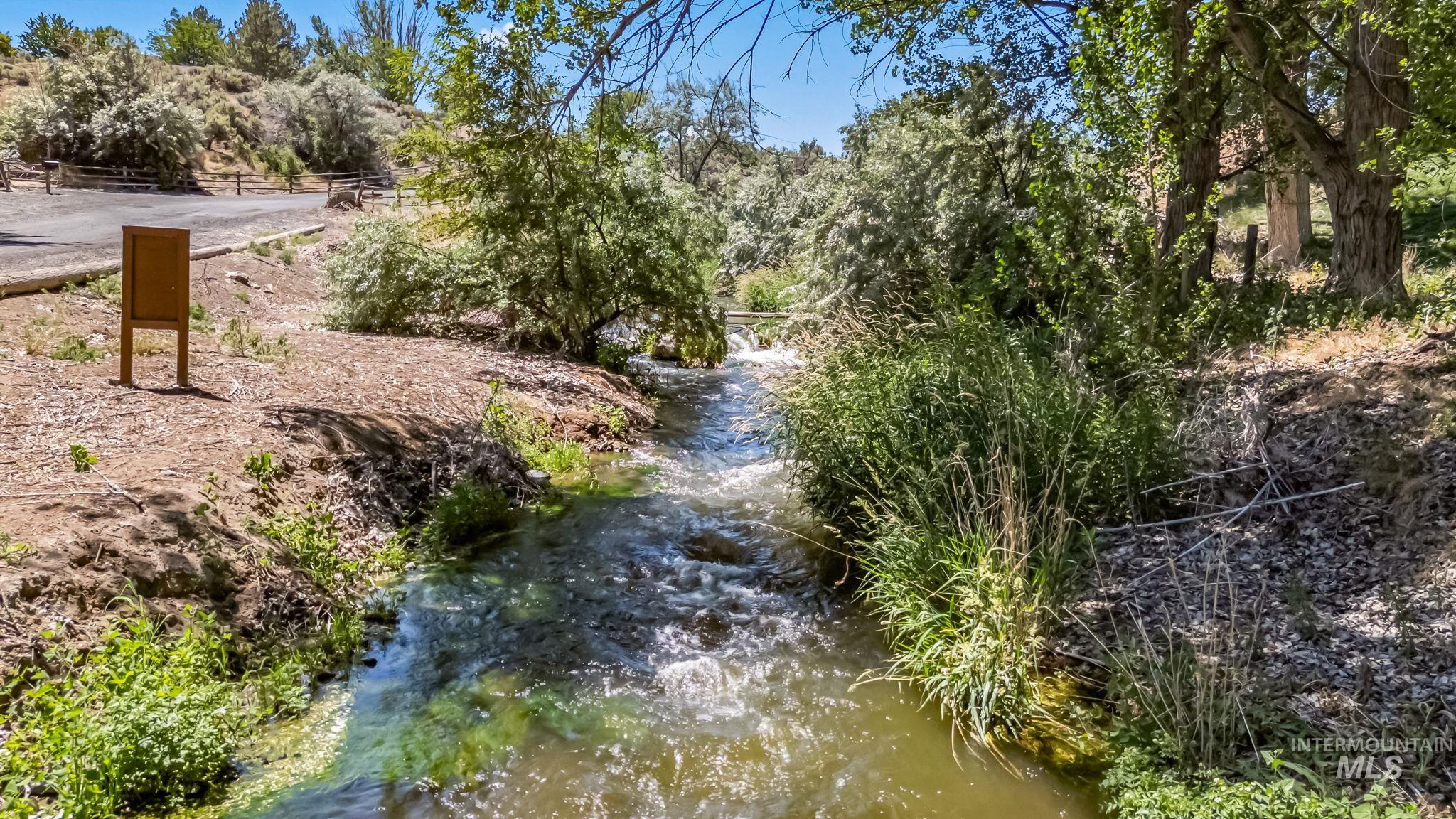 View of local wilderness
