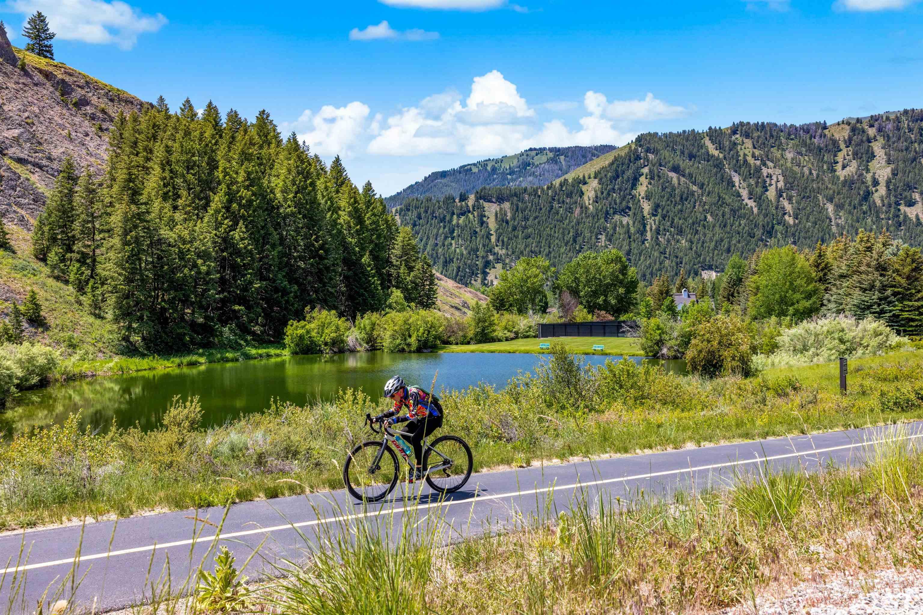 Mountain view with a large body of water and a forest