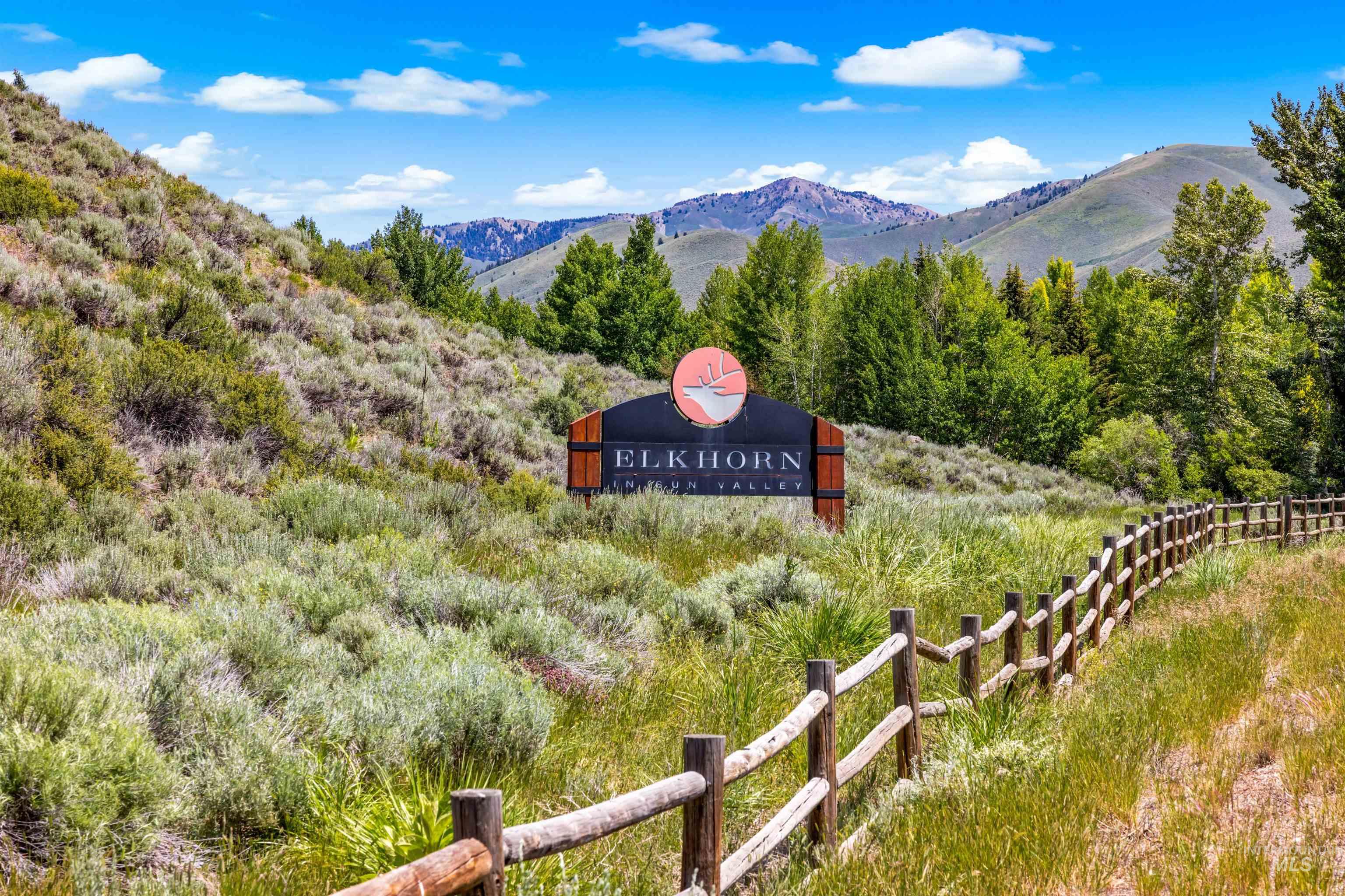 View of mountain background with a forest