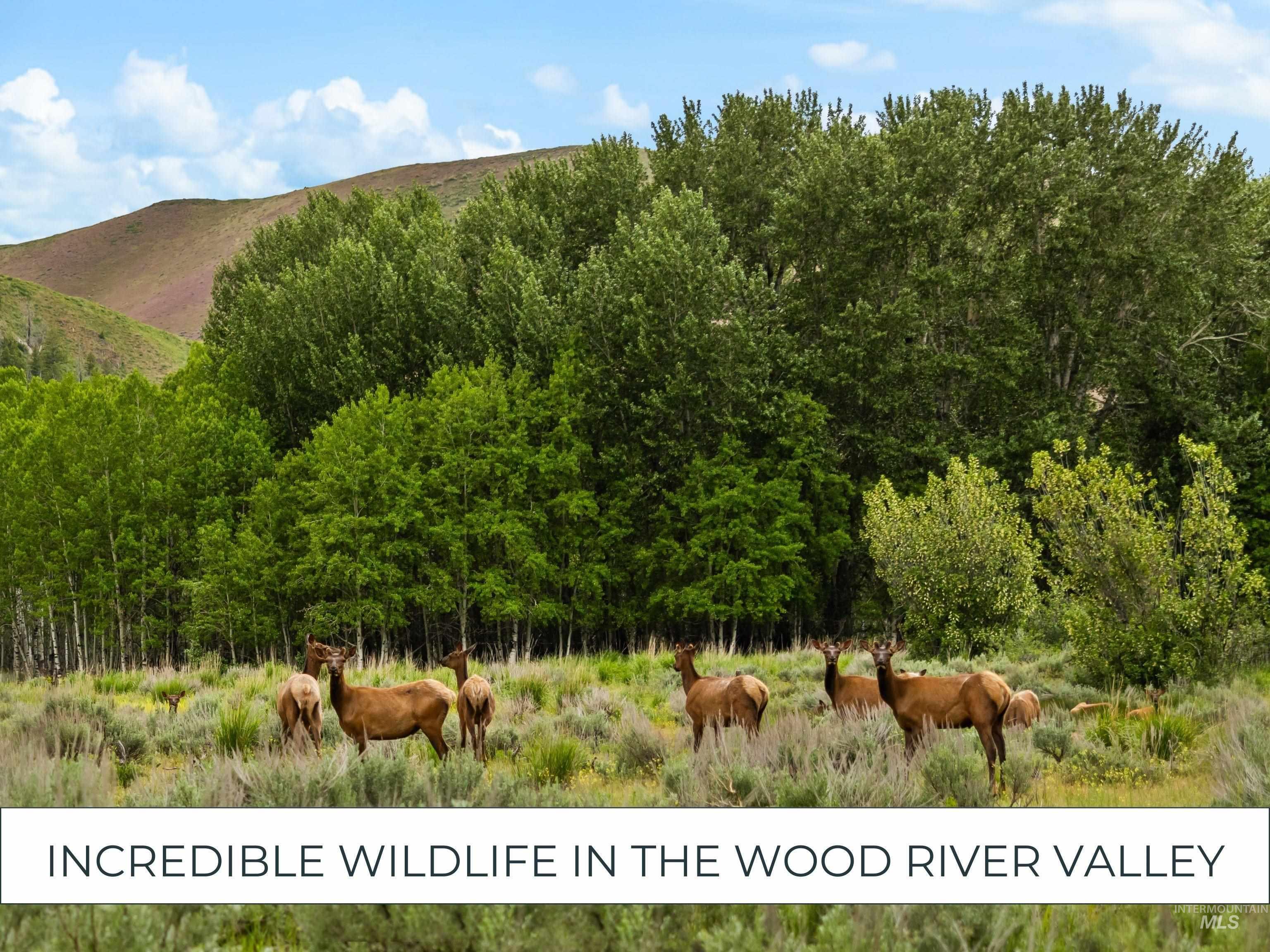 View of mountain background