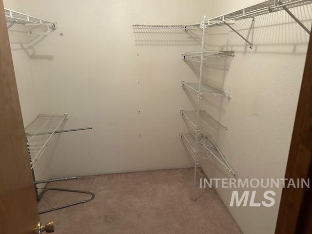 Walk in closet with light colored carpet