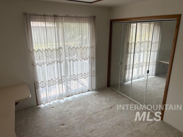 Unfurnished bedroom featuring multiple windows, carpet floors, and a closet