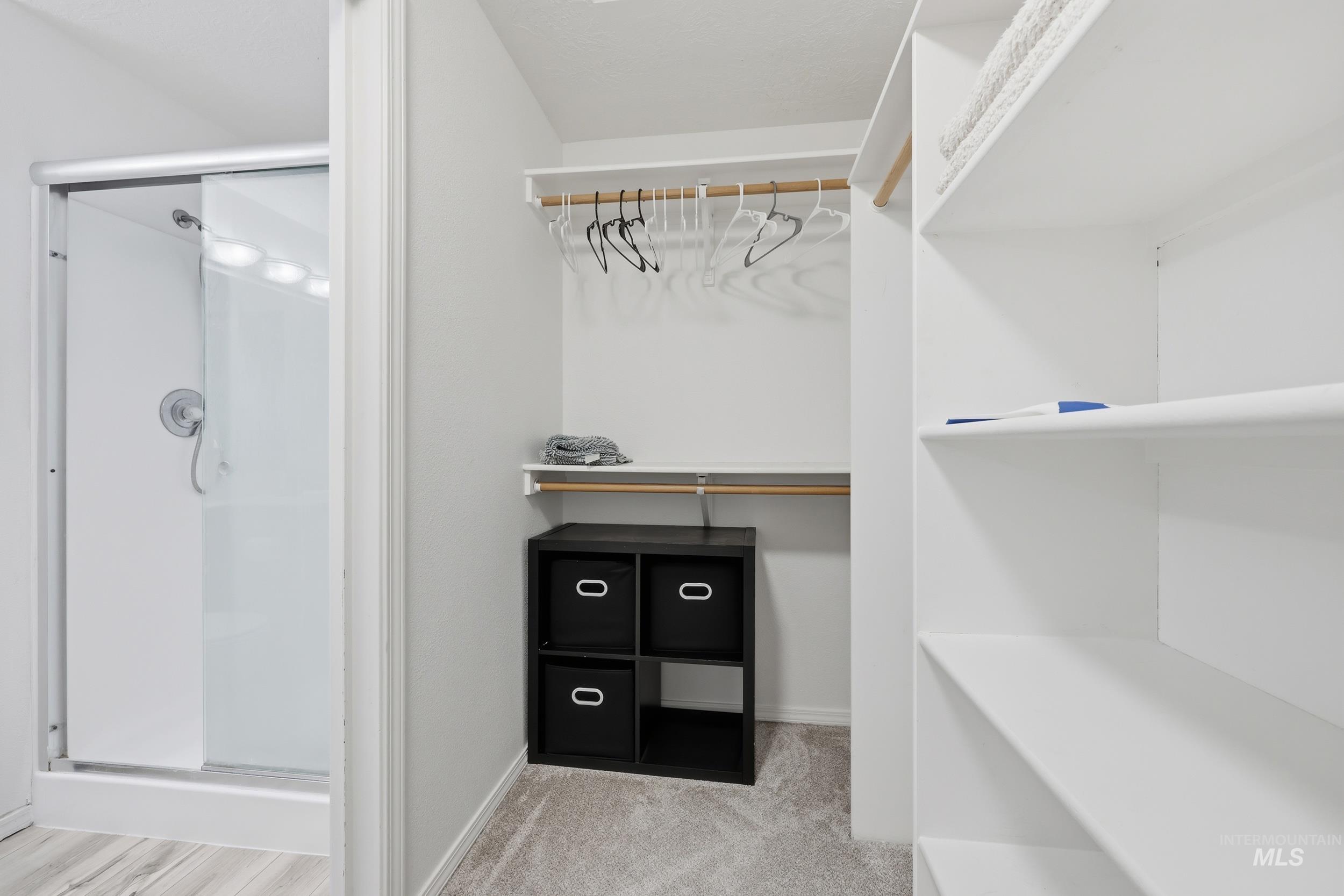Walk in closet with light colored carpet