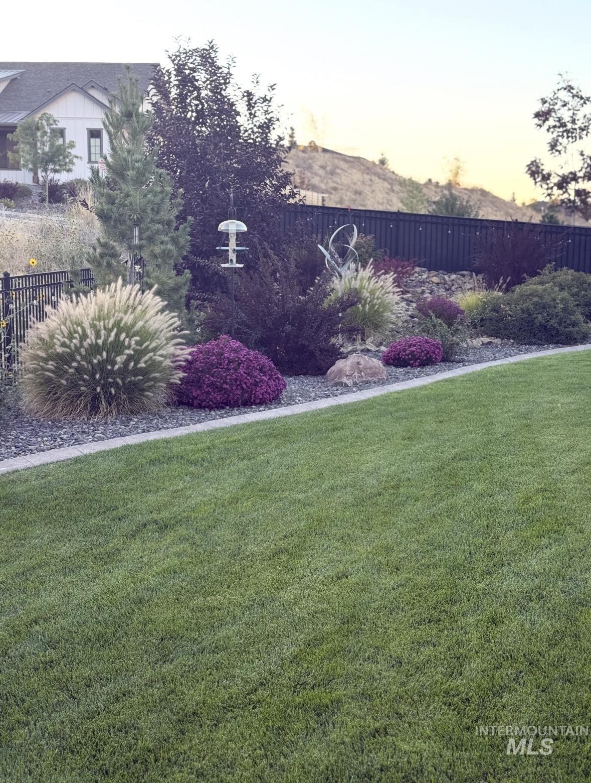 View of yard at dusk