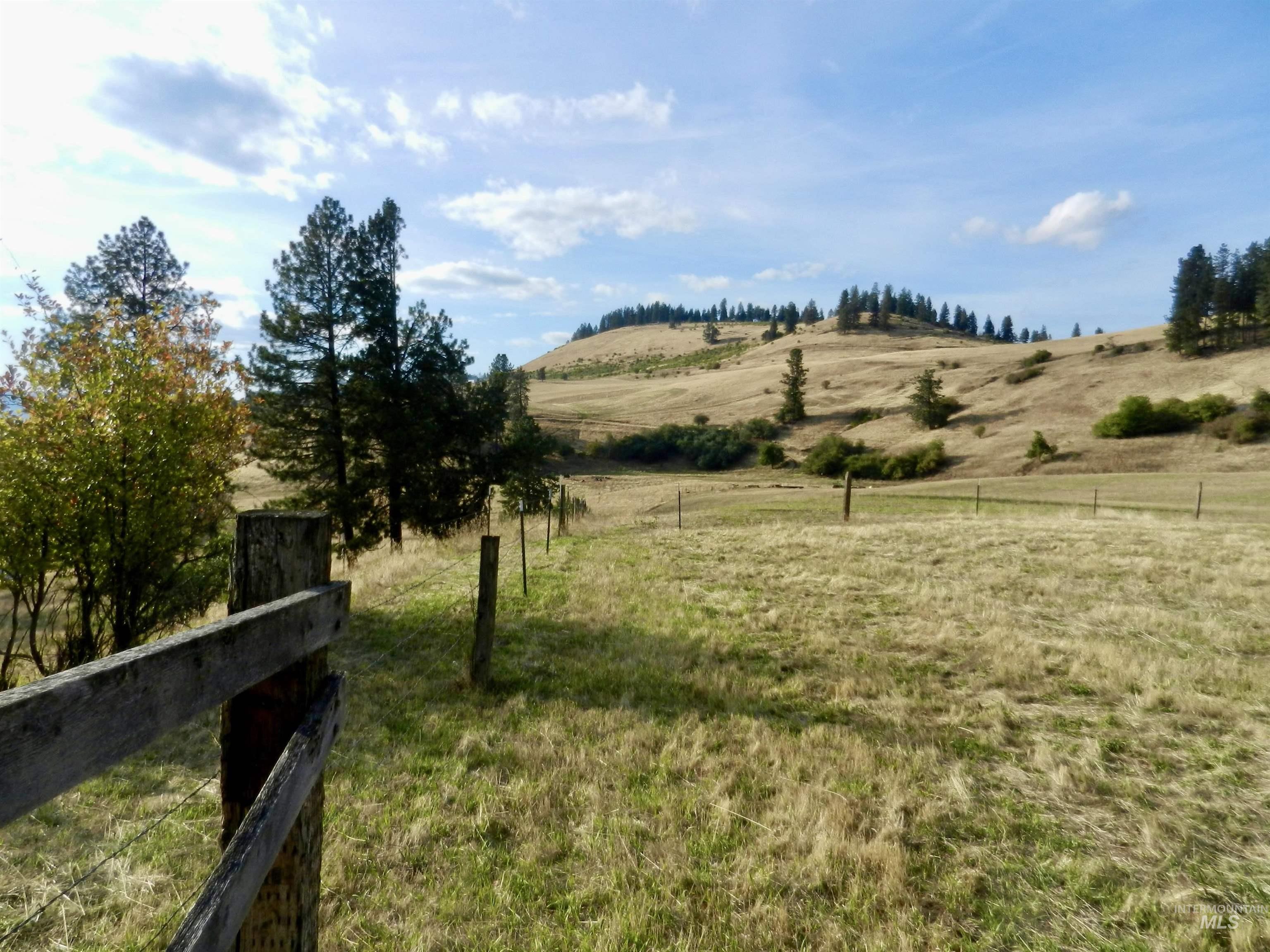 7329 Upper Fords Creek Road, Orofino, Idaho image 19