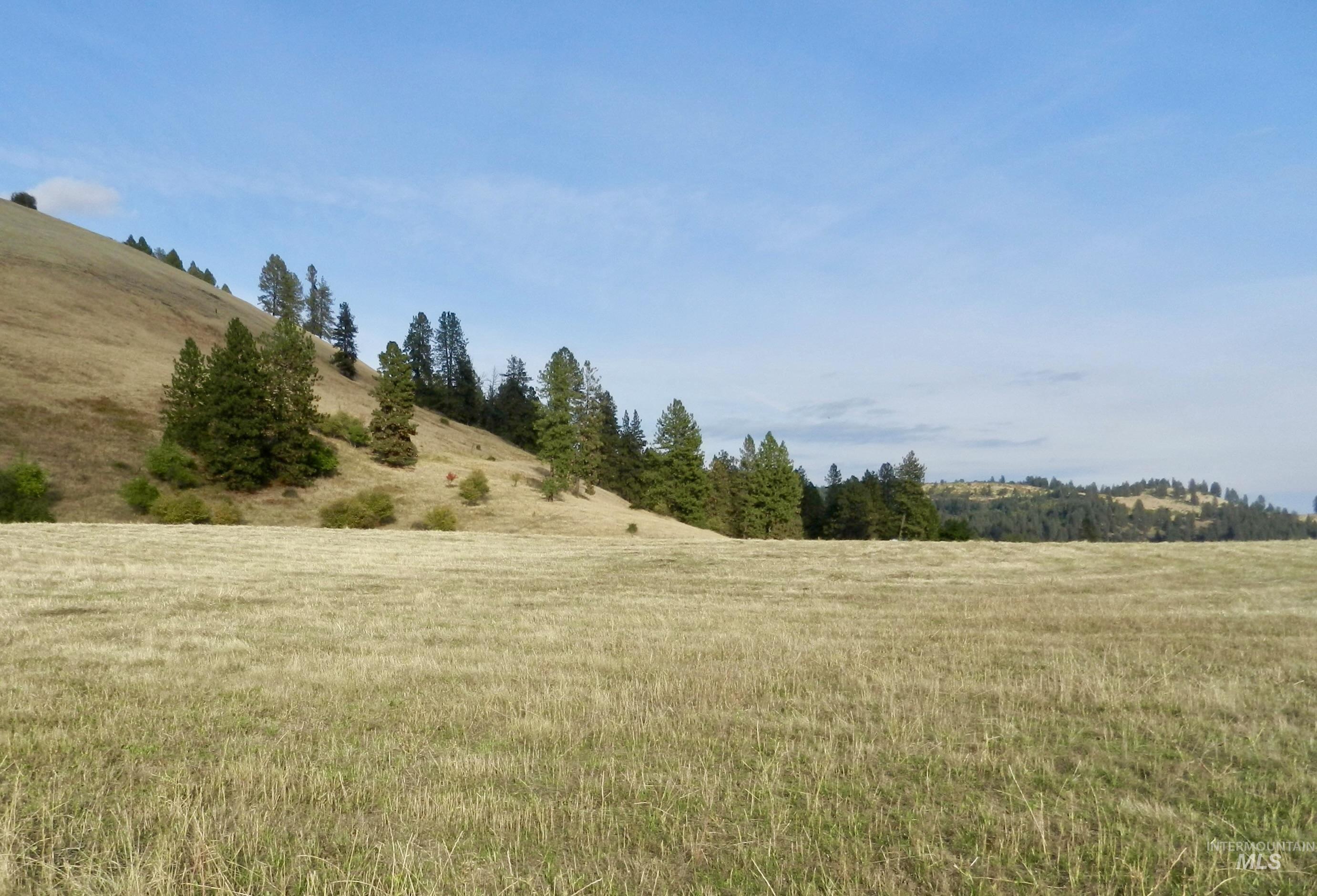 7329 Upper Fords Creek Road, Orofino, Idaho image 47