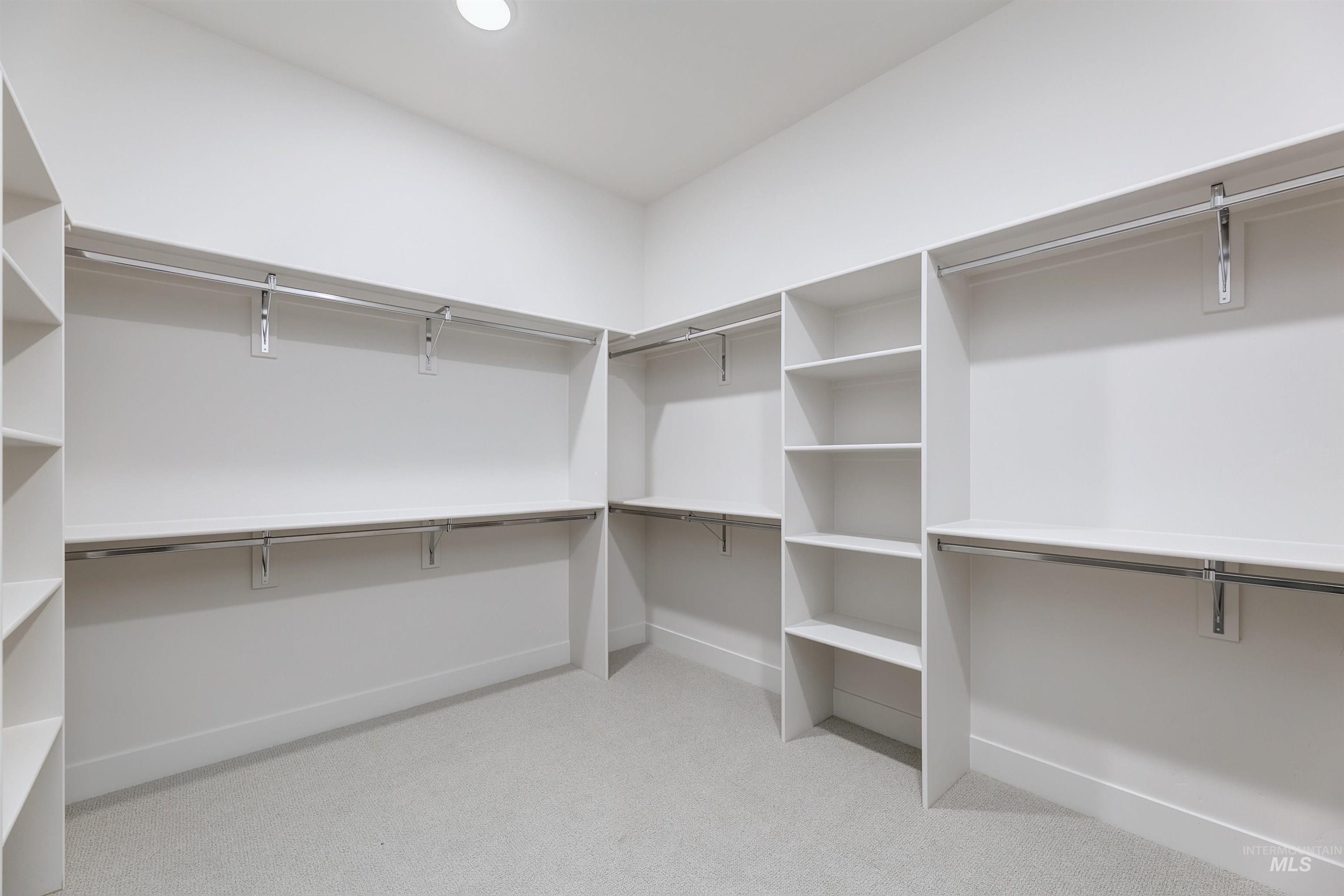 Walk in closet with carpet