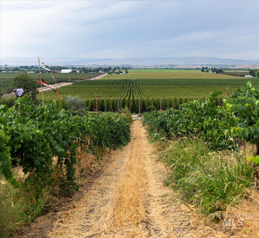 Photo of 24013 Arena Valley Rd, Parma, ID 83660 (MLS # 98976623)