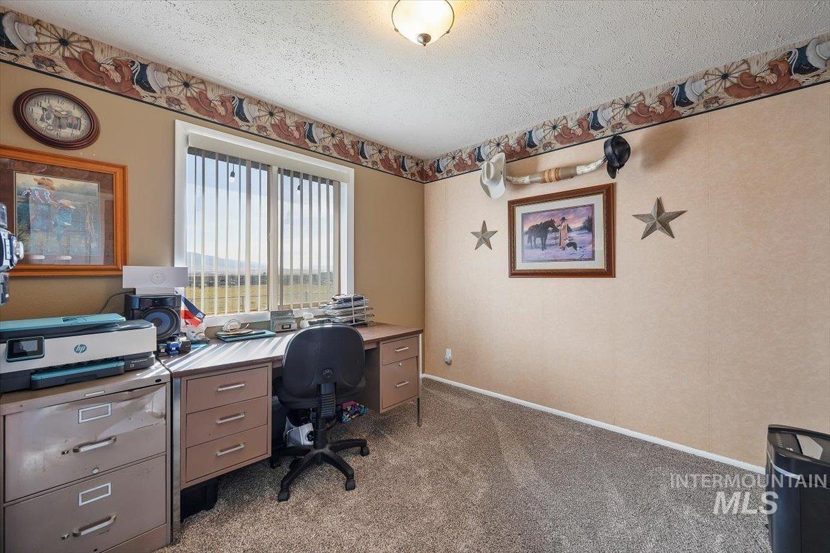 Office with light carpet and a textured ceiling