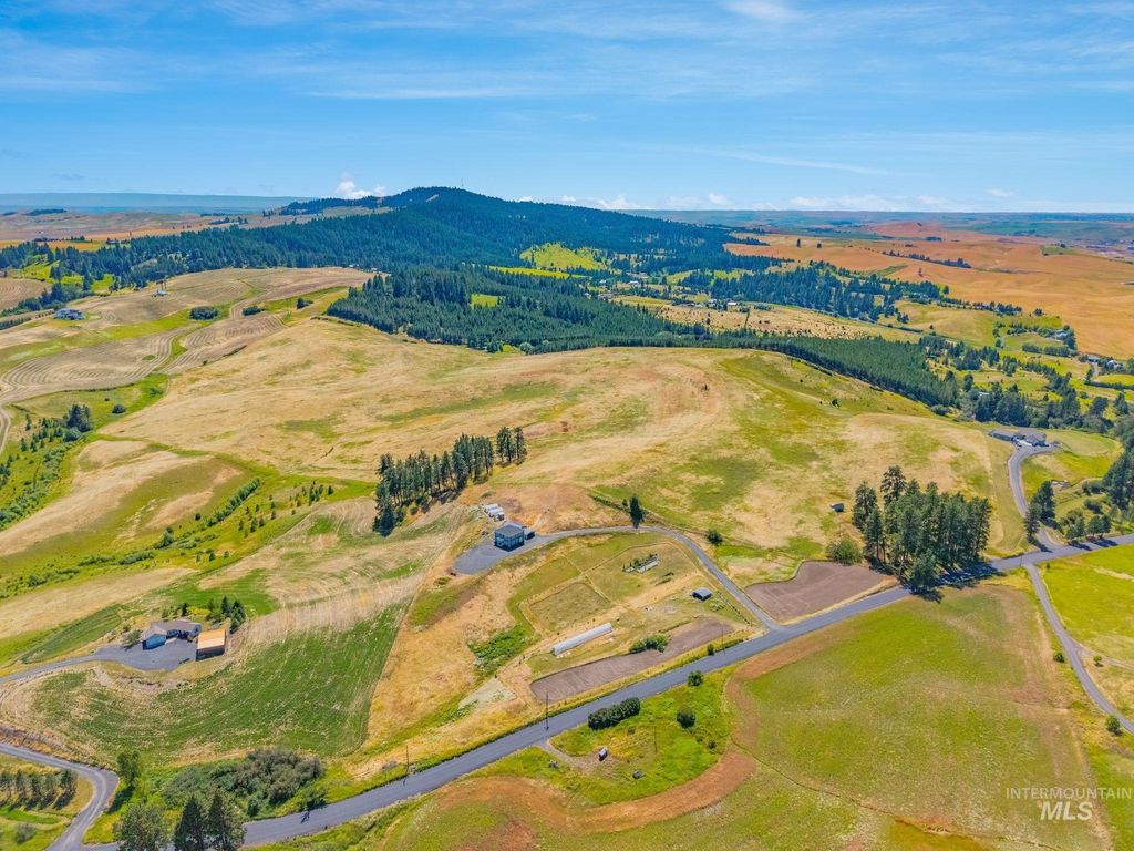 Photo of 4935 Lenville Rd, Moscow, ID 83843 (MLS # 98994164)