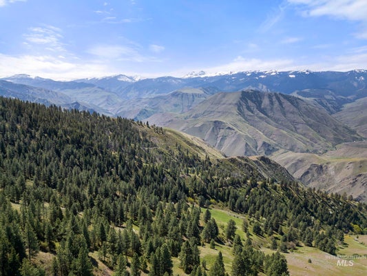 TBD LIGHTNING CREEK, RIGGINS, ID 83549 - Image aea7bc876a030ddb509e37463575a4e0/4239648106