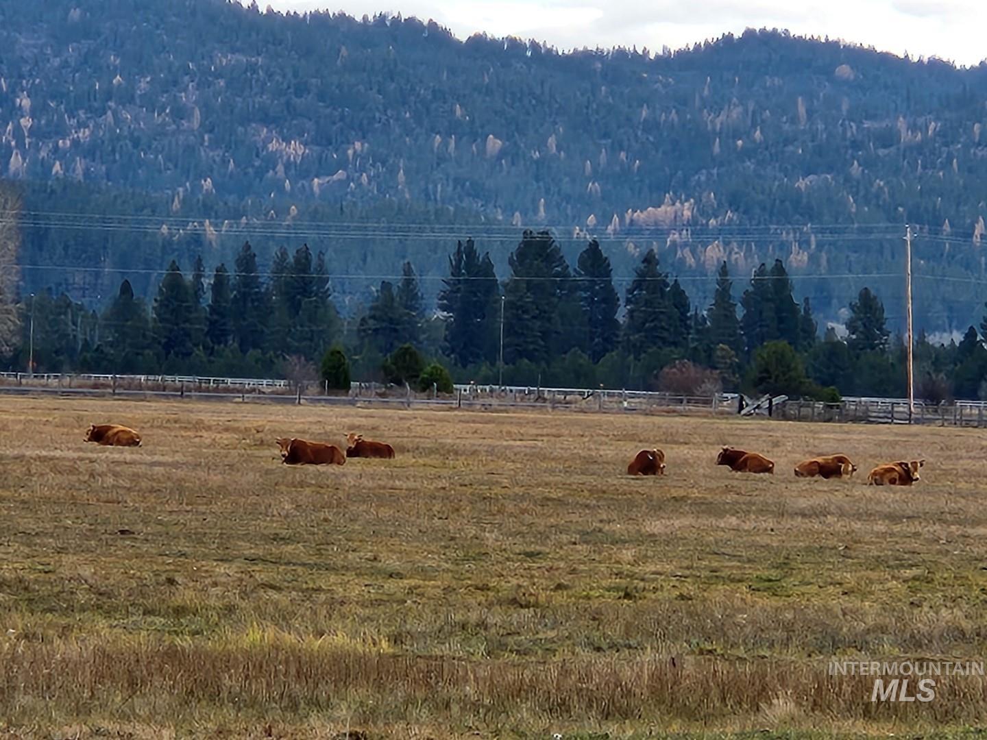 View of mountain backdrop featuring rural landscape and a forest