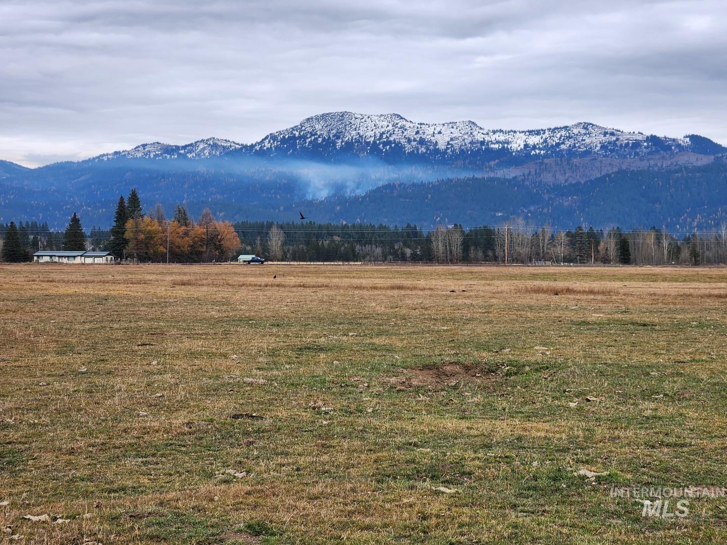 Mountain view with rural landscape and a forest