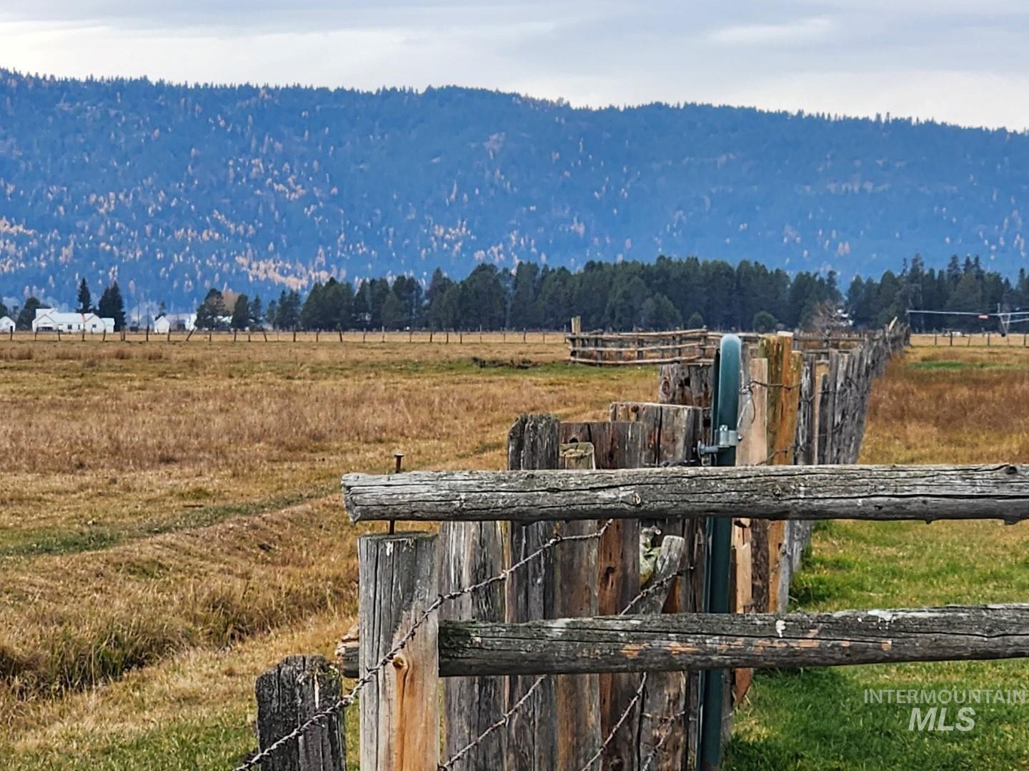 View of mountain background with a heavily wooded area and rural landscape