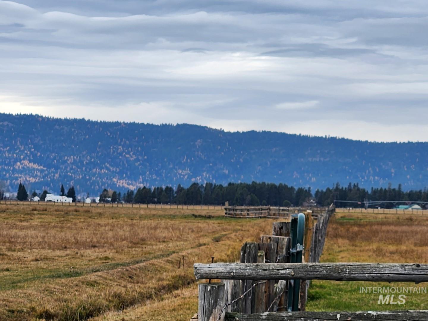 View of mountain background featuring a forest and rural landscape