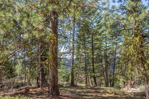 161 Little Donner Drive Cascade ID 83611