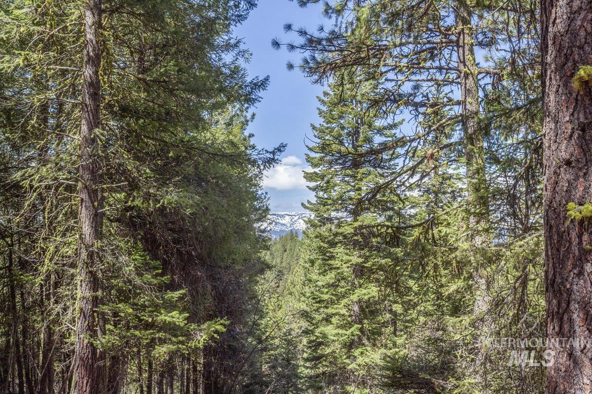 161 Little Donner Drive