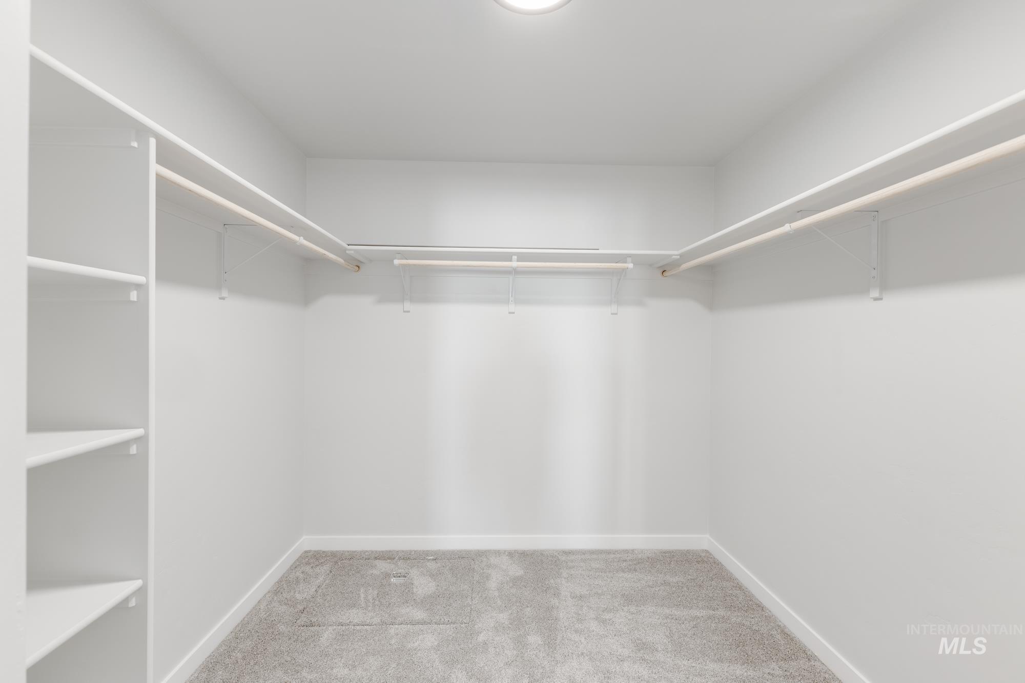 Spacious closet featuring light carpet
