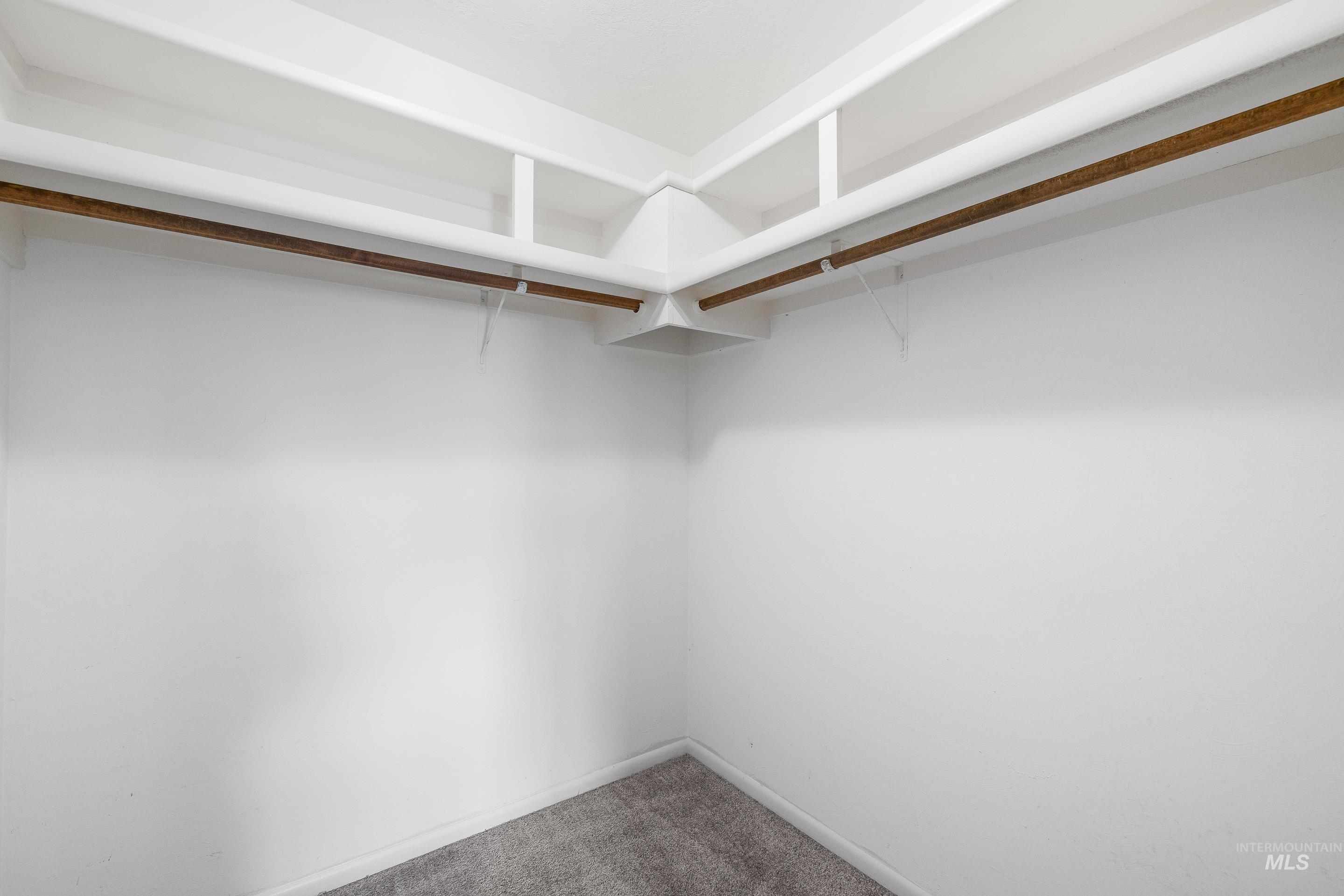 Walk in closet with carpet