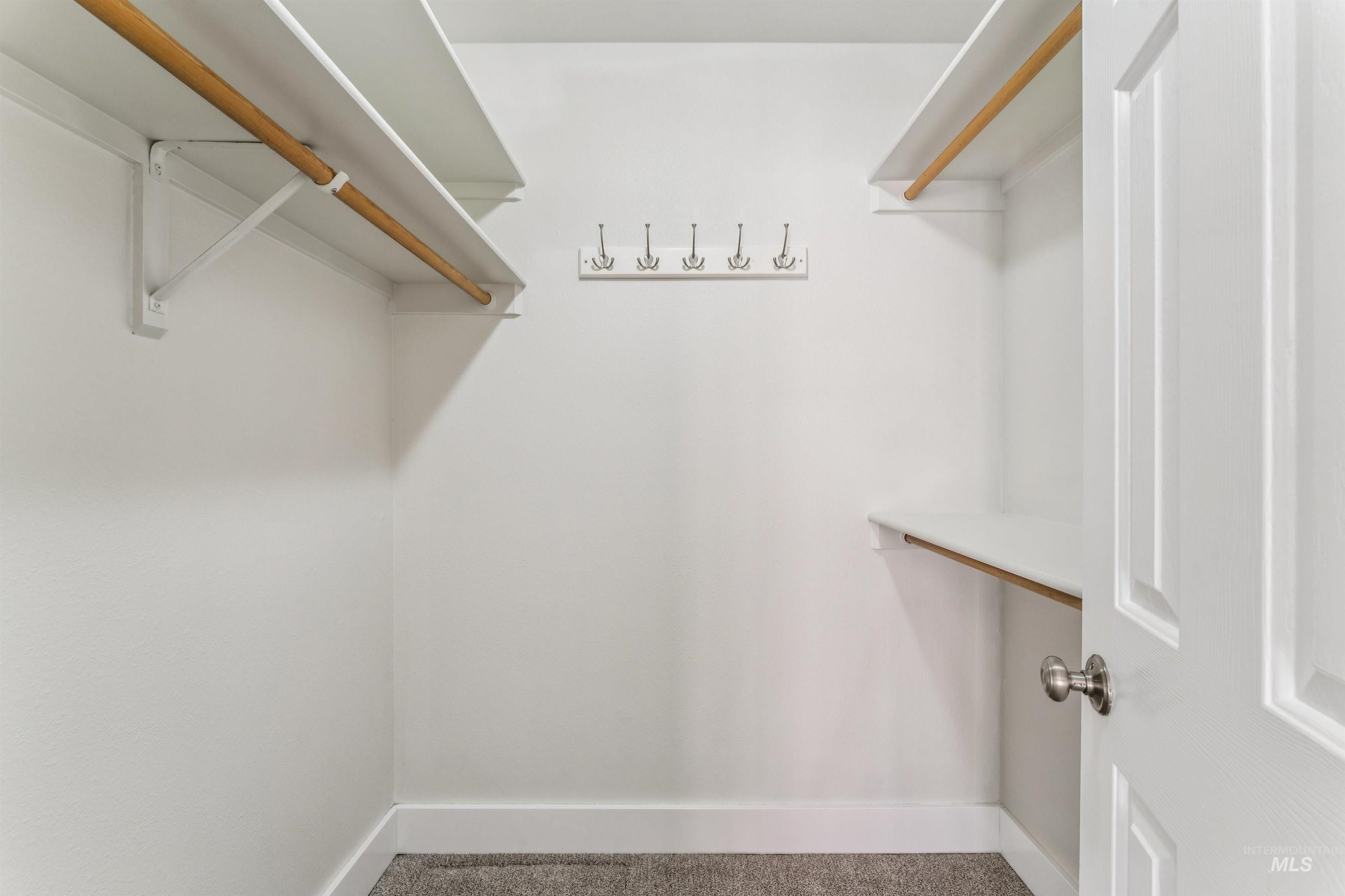 Walk in closet with carpet