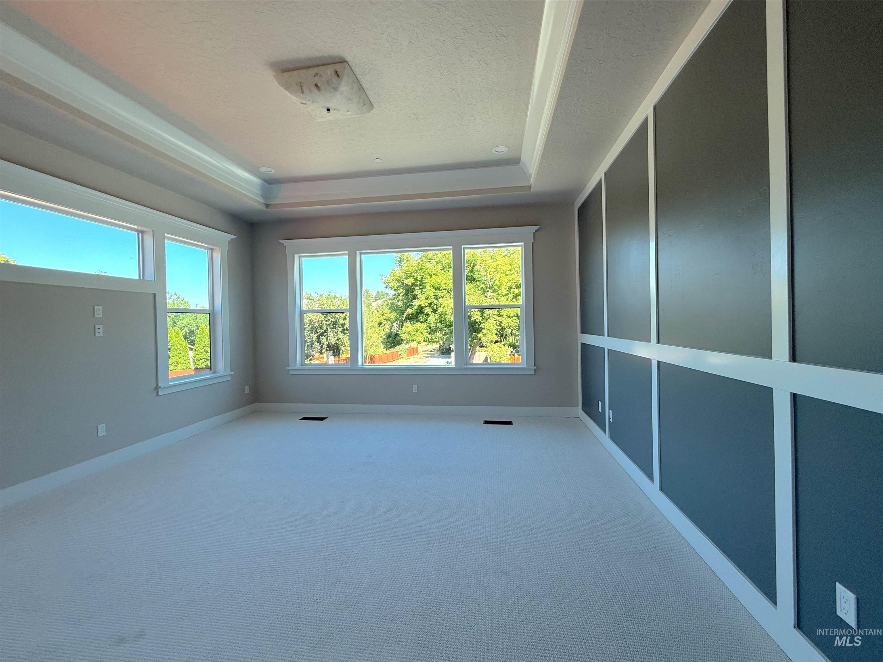 Empty room with a raised ceiling, carpet, plenty of natural light, and a textured ceiling