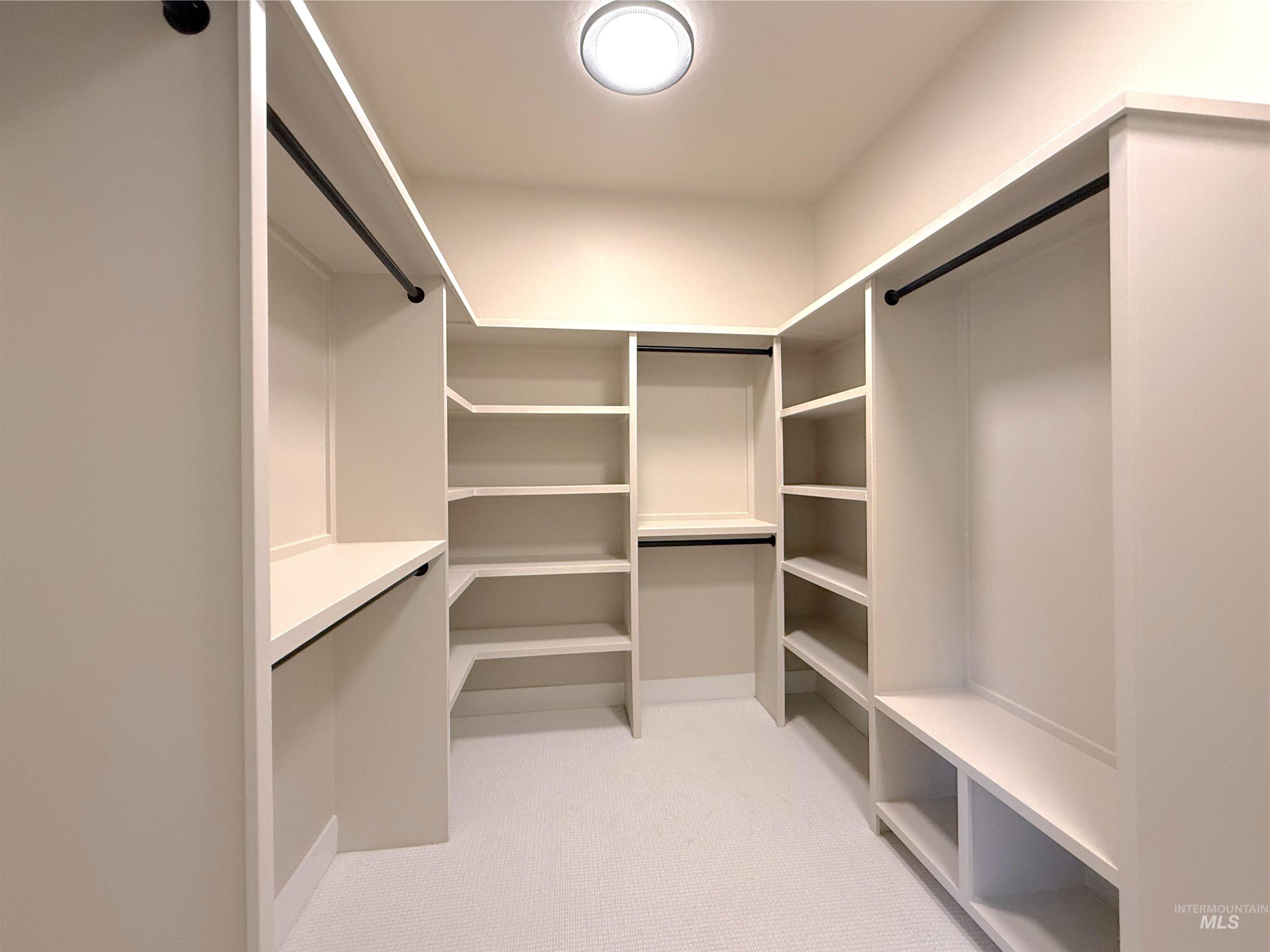 Walk in closet featuring light carpet