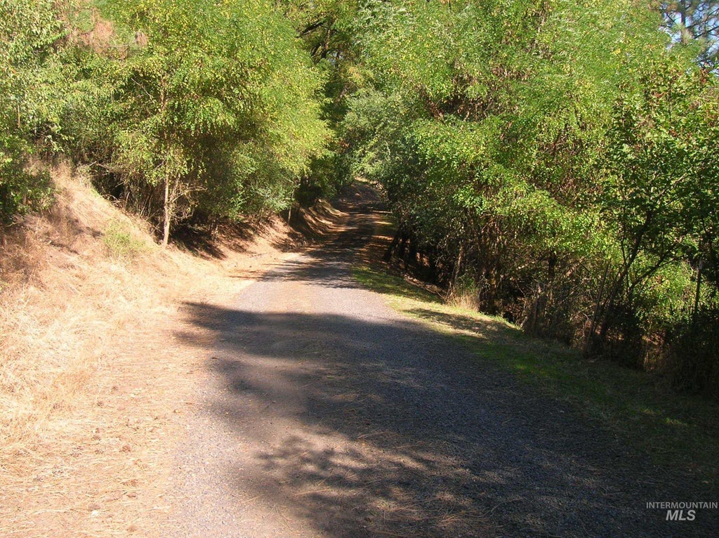 Photo of 307 Locust Road, Kamiah, ID 83536 (MLS # 99002733)