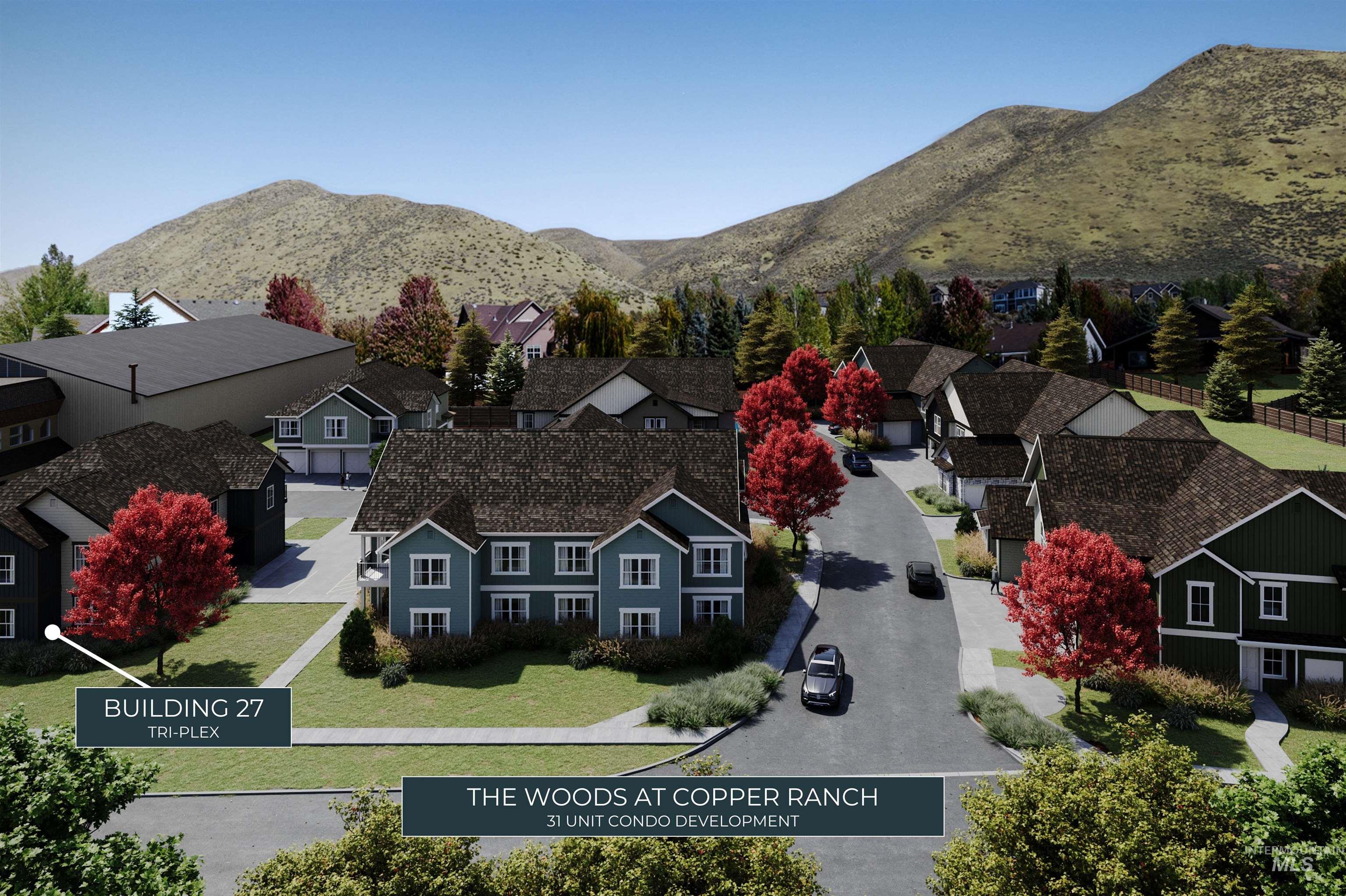 Aerial perspective of suburban area featuring mountains