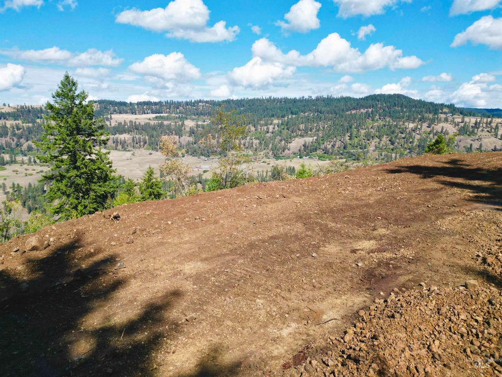 Photo of 1762 Tranquil Lane, Orofino, ID 83544 (MLS # 98938080)