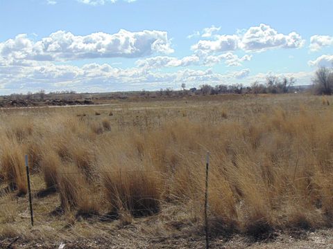 Photo of TBD Malheur Drive, Ontario, OR 97914 (MLS # 98872121)